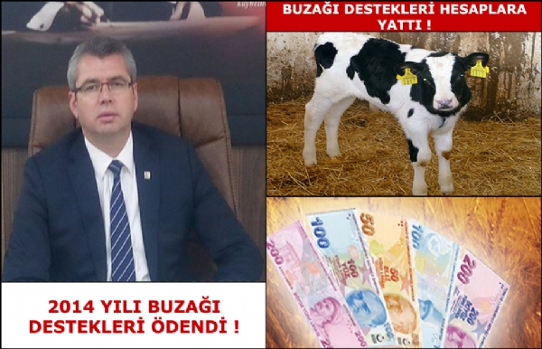 2014 Yl 1. Dnem Buza Destekleri Hesaplara Yatt !