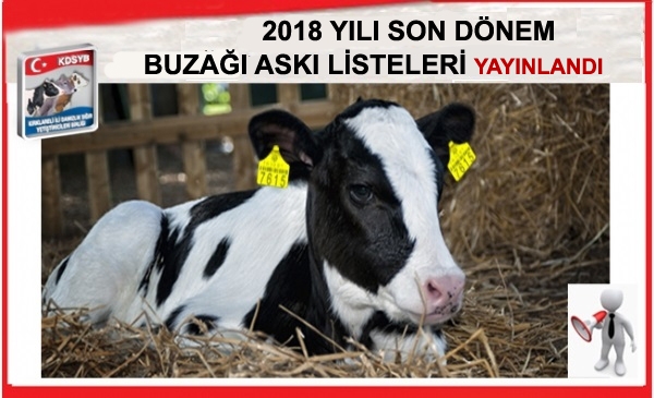 2018 YILI SON DNEM BUZAI ASKI LSTELER