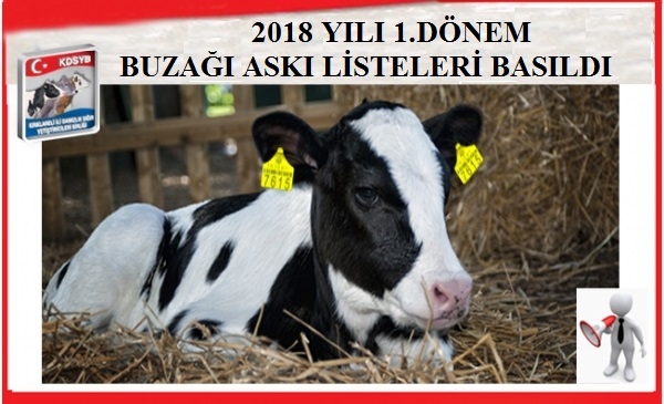 2018 YILI 1.DNEM BUZAI ASKI LSTELER BASILDI