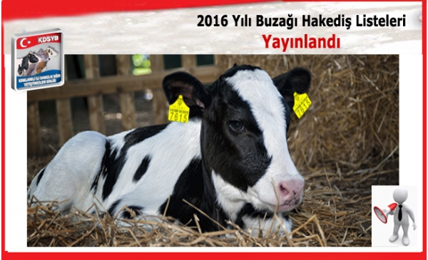 2016 Yl Soykt 1. Dnem Buza Hakedi Listeleri