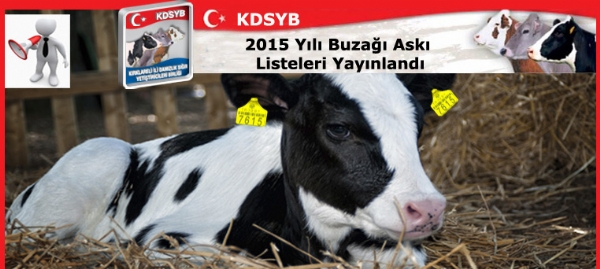 2015 Yl Buza Ask Listeleri Yaynland 