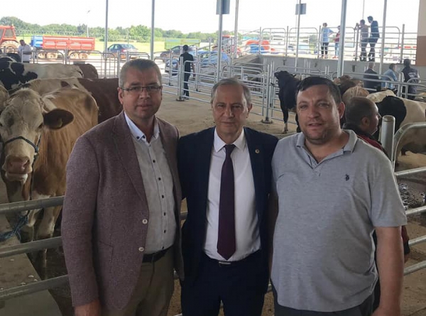 Canl Hayvan Borsasnn Al
