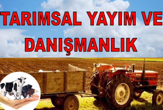 Tarmsal Yaym ve Danmanlk Hizmetleri