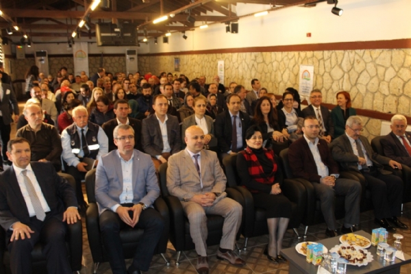 ilek Yetitiricilii