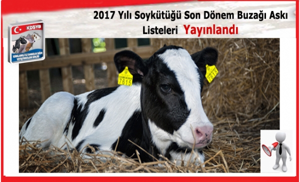 2017 Yl Soykt Son Dnem Buza Ask Listeleri