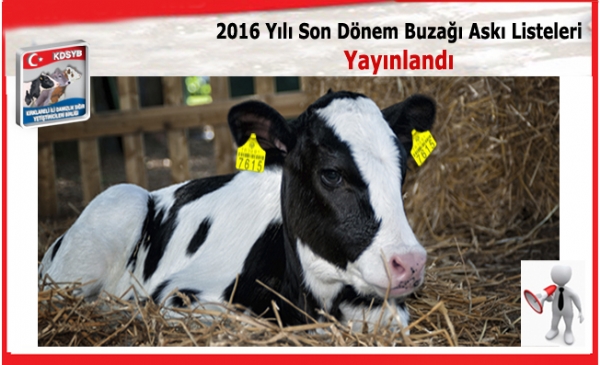 2016 Yl Son Dnem Buza Ask Listeleri Yaynland