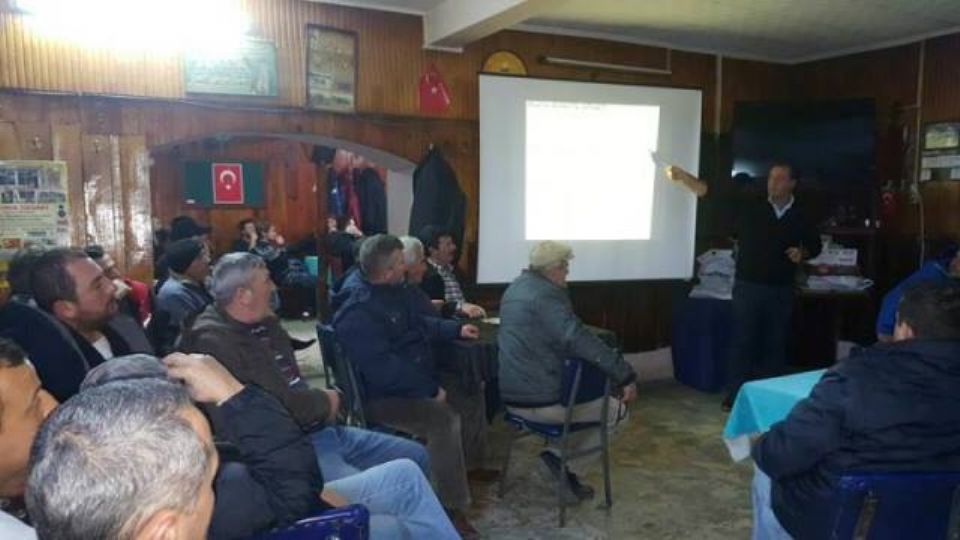 Kayal