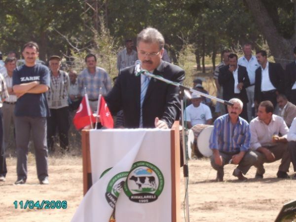 Dam�zl�k S���r Yar��mas�