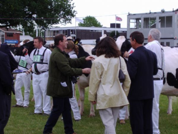 Yabanc� �lkelerde Dam�zl�k S���r Yeti�tiricili�i