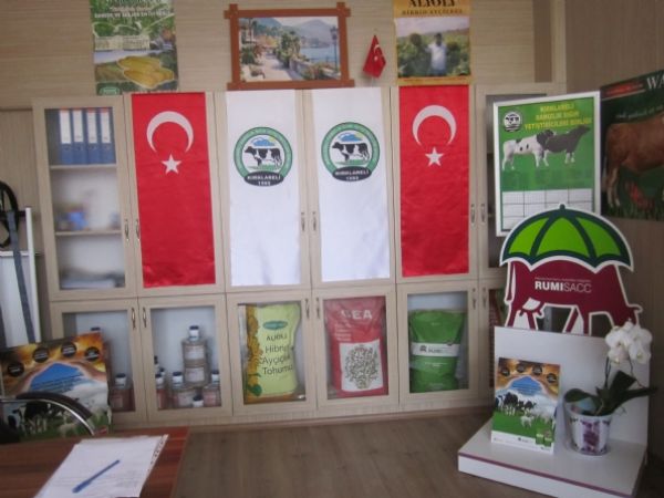 Pnarhisar ubesi Yeni Hizmet Binas Al