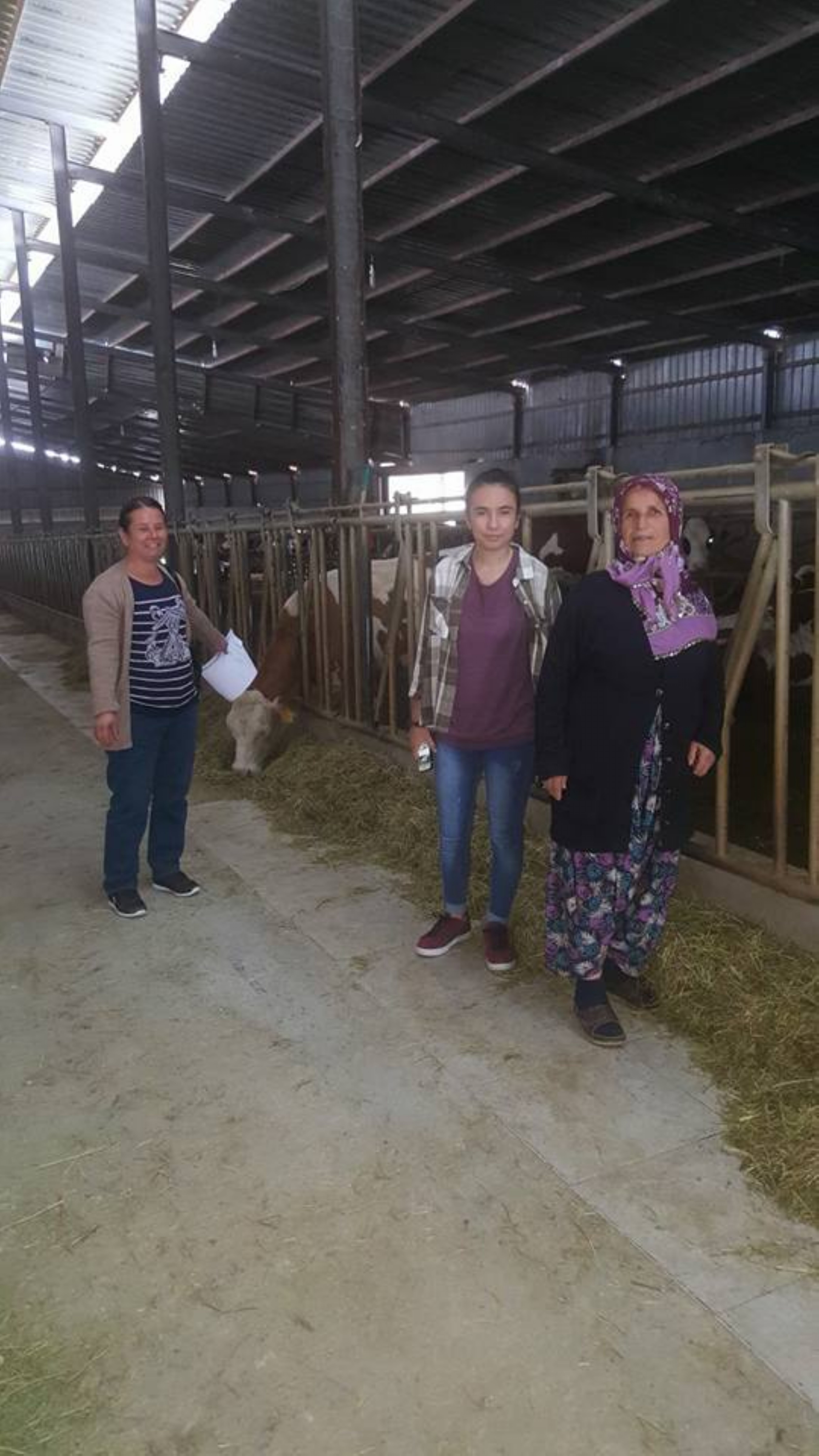 kura ekimleri