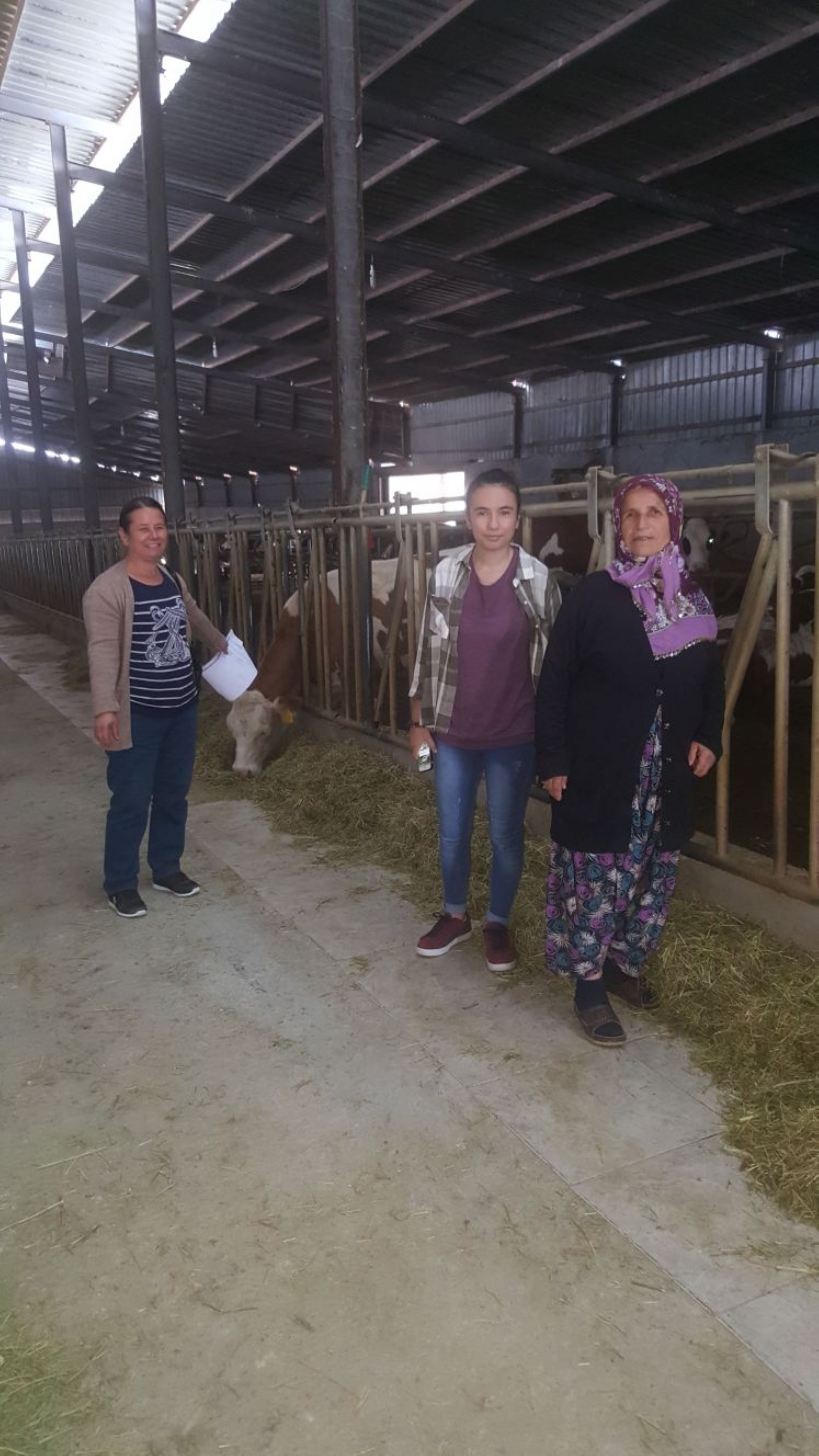 kura ekimleri