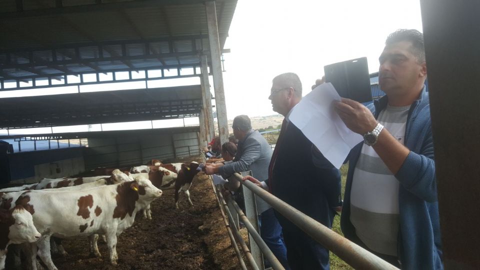kura ekimleri