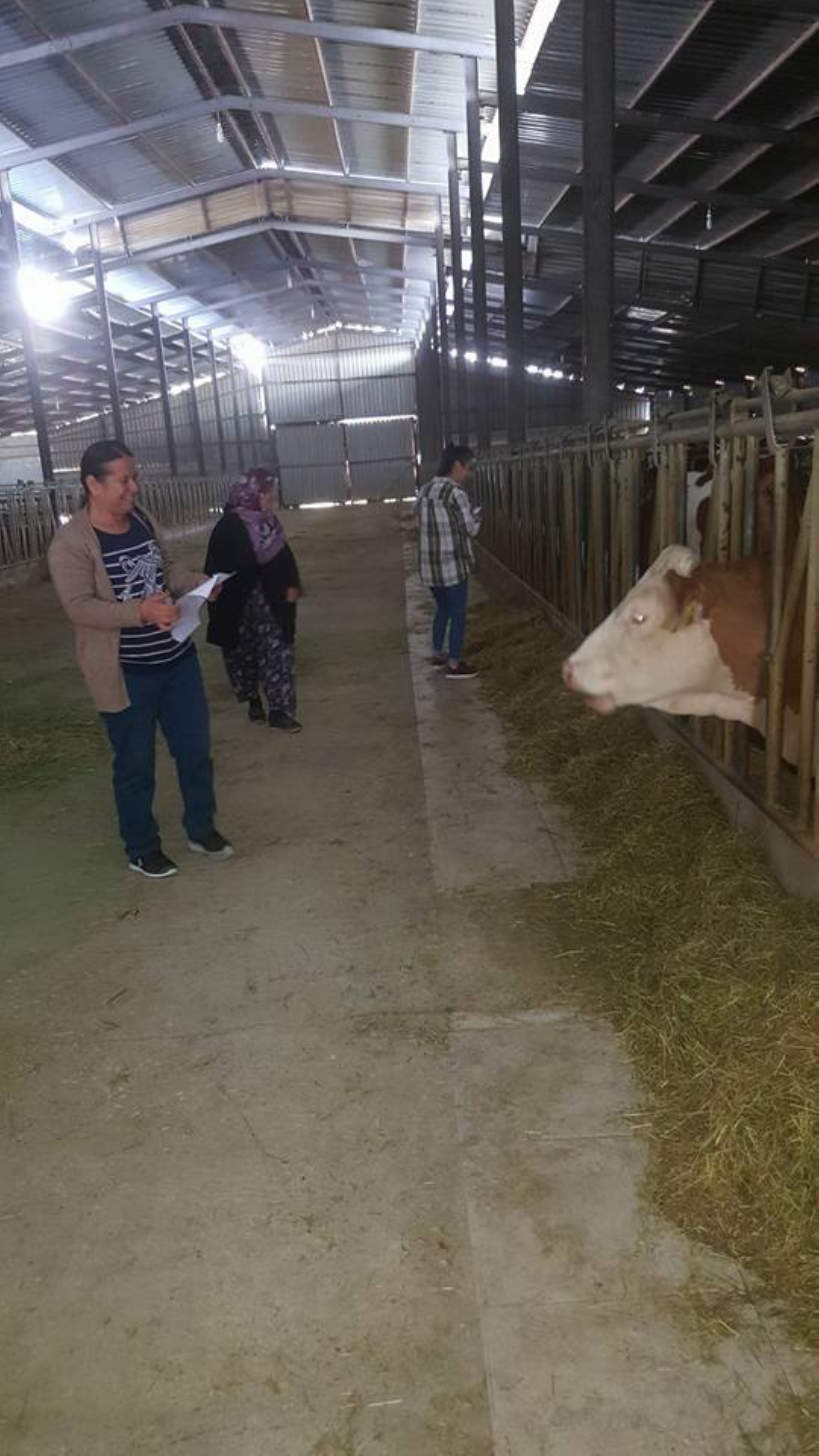 ifti inceleme gezisi