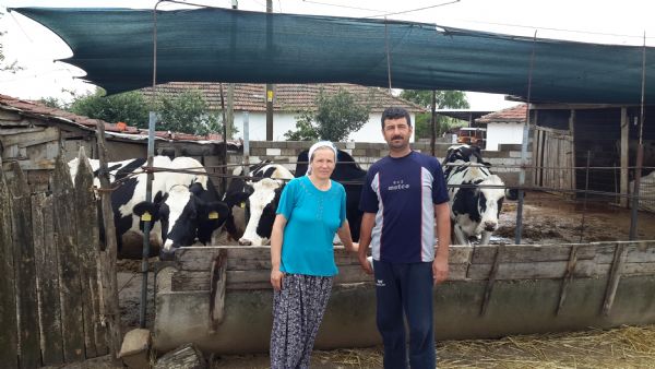 2015 Tarmsal Yaym ve Danmanlk Hizmetleri