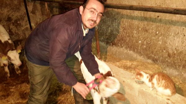 2015 Tarmsal Yaym ve Danmanlk Hizmetleri