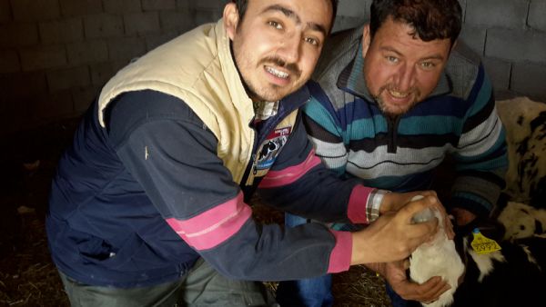 2015 Tarmsal Yaym ve Danmanlk Hizmetleri