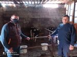 Tarmsal Yaym ve Danmanlk 