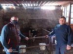 Tarmsal Yaym ve Danmanlk 