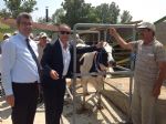 Hamitabat Damzlk Dve Teslim Treni