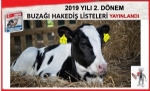 2019 YILI 2. DNEM BUZAI HAKED LSTELER