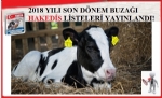 2018 YILI 2.DNEM BUZAI HAKED LSTELER BASILDI