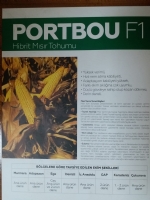 PORTBOU F1 HBRT MISIR TOHUMU