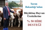 Tarm Bakanlndan Bykba Hayvan reticilerine % 50 Hibe Destei